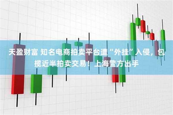 天盈财富 知名电商拍卖平台遭“外挂”入侵，包揽近半拍卖交易！上海警方出手