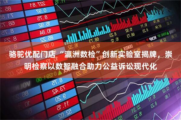 骆驼优配门店 “瀛洲数检”创新实验室揭牌，崇明检察以数智融合助力公益诉讼现代化
