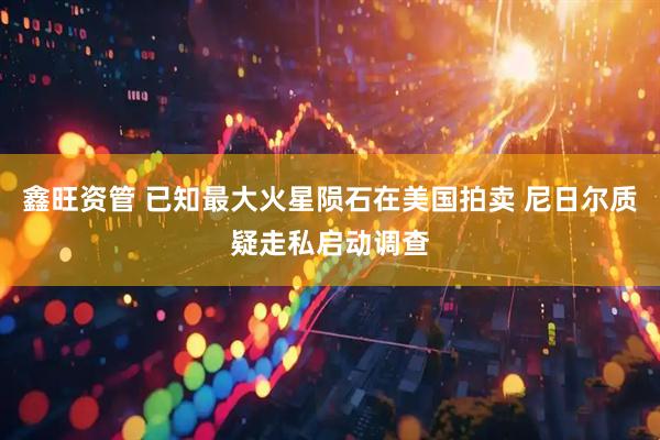 鑫旺资管 已知最大火星陨石在美国拍卖 尼日尔质疑走私启动调查