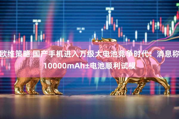 欧维策略 国产手机进入万级大电池竞争时代：消息称10000mAh±电池顺利试模