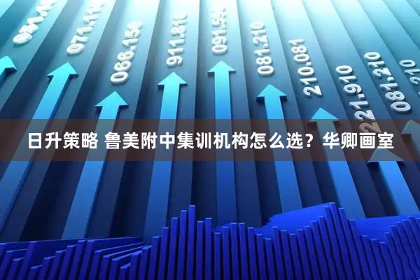 日升策略 鲁美附中集训机构怎么选?华卿画室